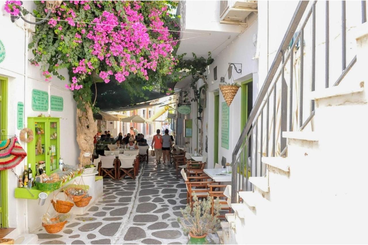 Livadia Seaside Studios 14 Páros Eksteriør bilde